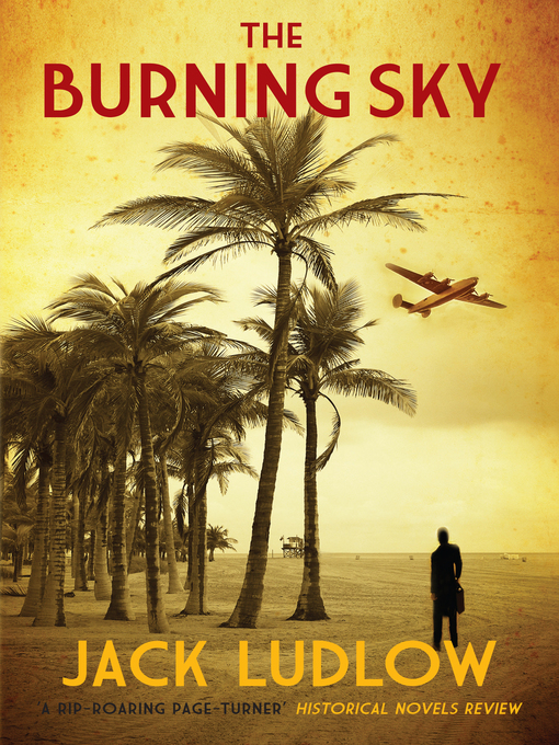 Title details for The Burning Sky by Jack Ludlow - Available